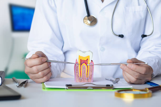 Best Weekend Emergency Dentist in Galesburg, MI